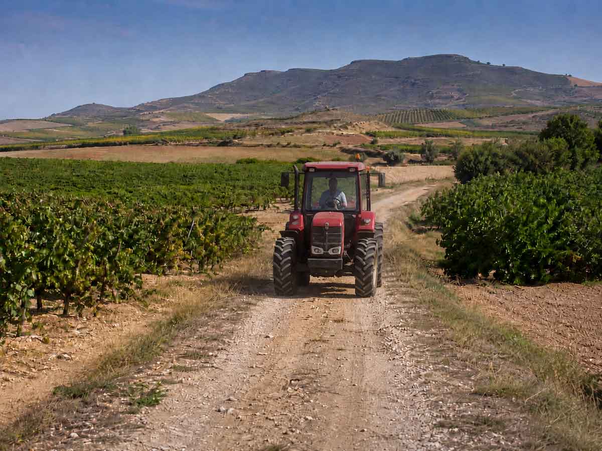 Tractor agrícola circulando por un camino rural entre viñedos y campos de cultivo