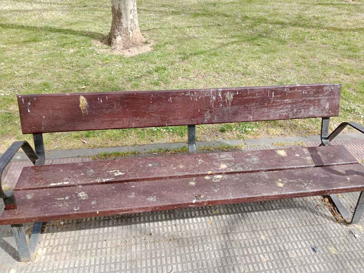 Banco de la avenida Club Deportivo de Logroño con acumulación de excrementos de aves.