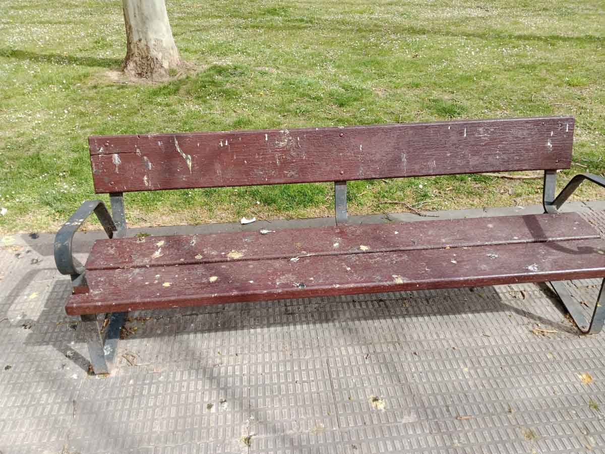 Otro banco de la avenida Club Deportivo de Logroño con acumulación de excrementos de aves.