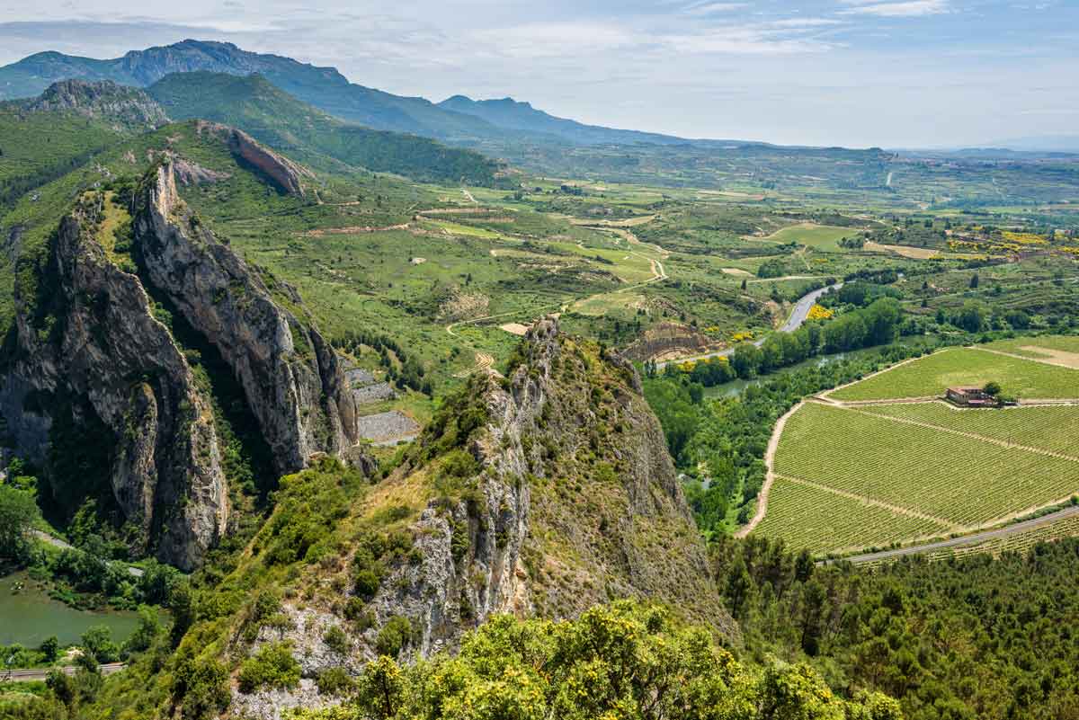 Vista panorámica elevada de la Comarca de Haro con el río Ebro serpenteando entre grandes riscos rocosos y extensos campos de viñedos alineados en La Rioja Alta.