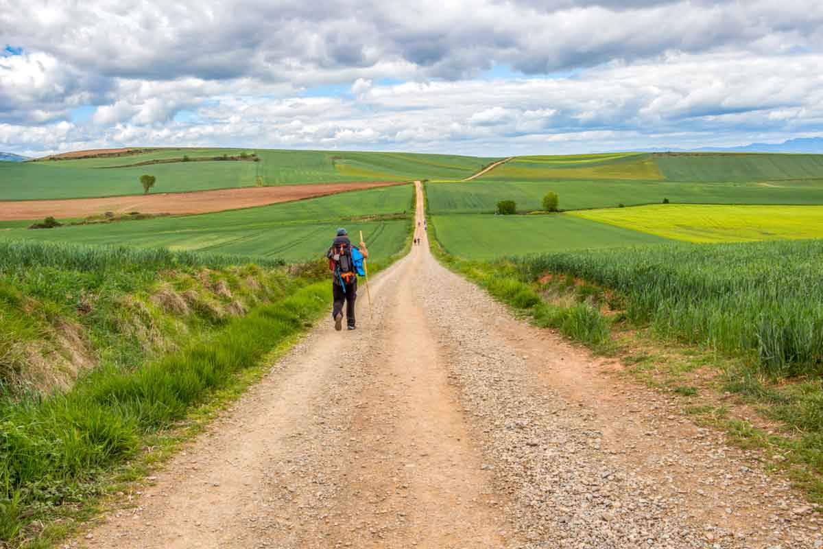 Un peregrino con mochila y bastón camina de espaldas por un sendero de tierra del Camino de Santiago, rodeado de campos de cultivo verdes en la Comarca de Santo Domingo de la Calzada.