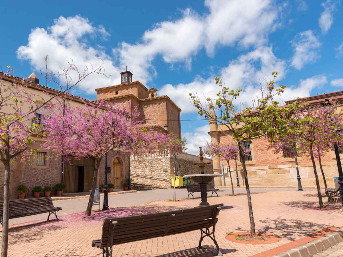 Plaza de Canillas de Río Tuerto con árboles en flor, bancos, una fuente y edificios históricos alrededor.