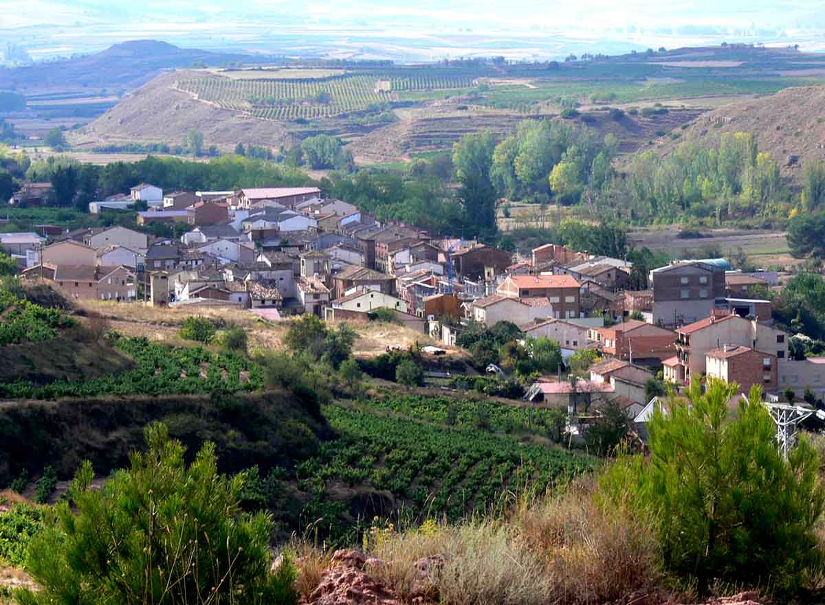 Vista panorámica de Cárdenas, con el casco urbano rodeado de viñedos, campos de cultivo y arbolado.