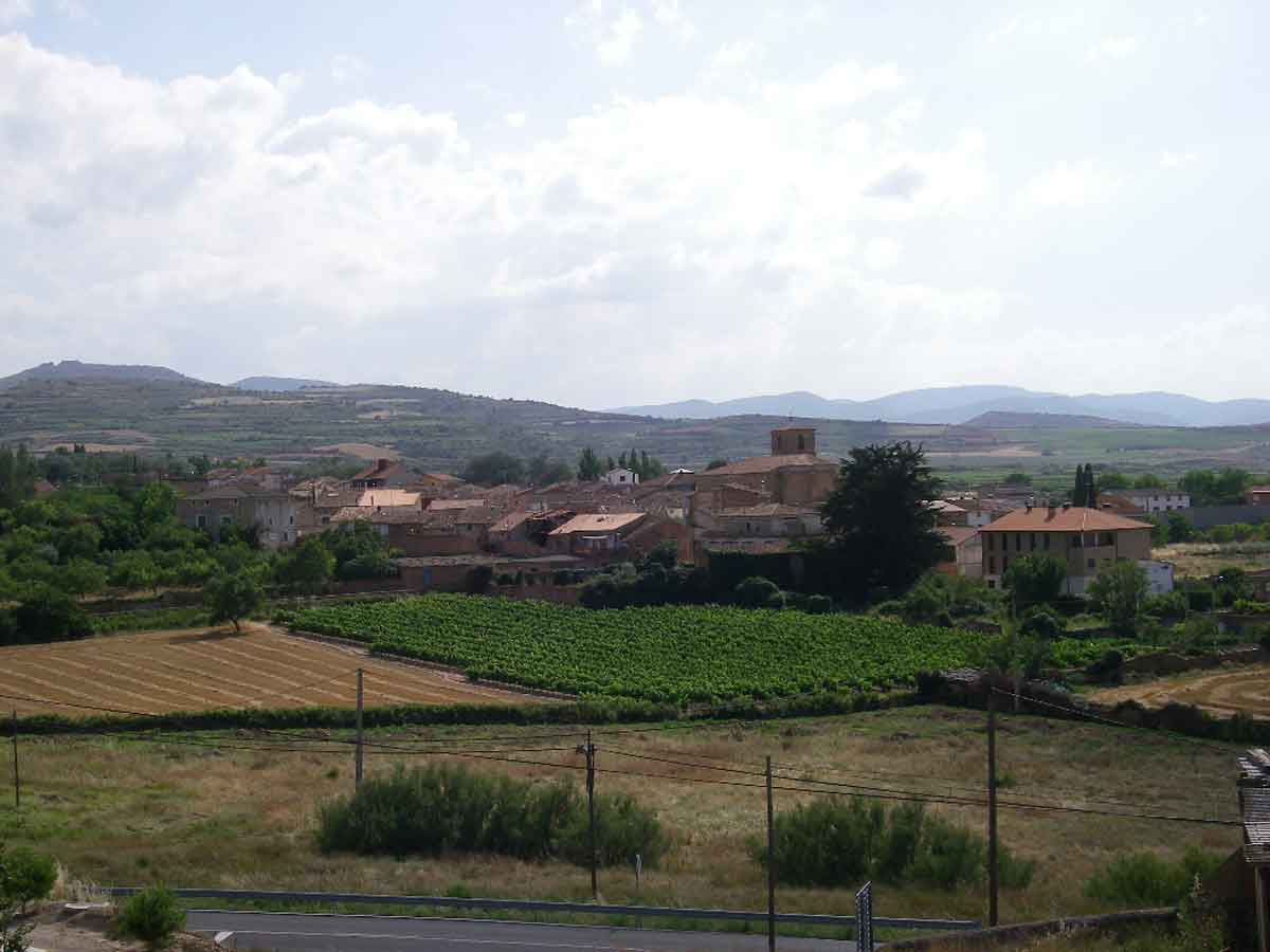 Vista de El Redal con viñedos y paisaje agrícola del Valle de Ocón