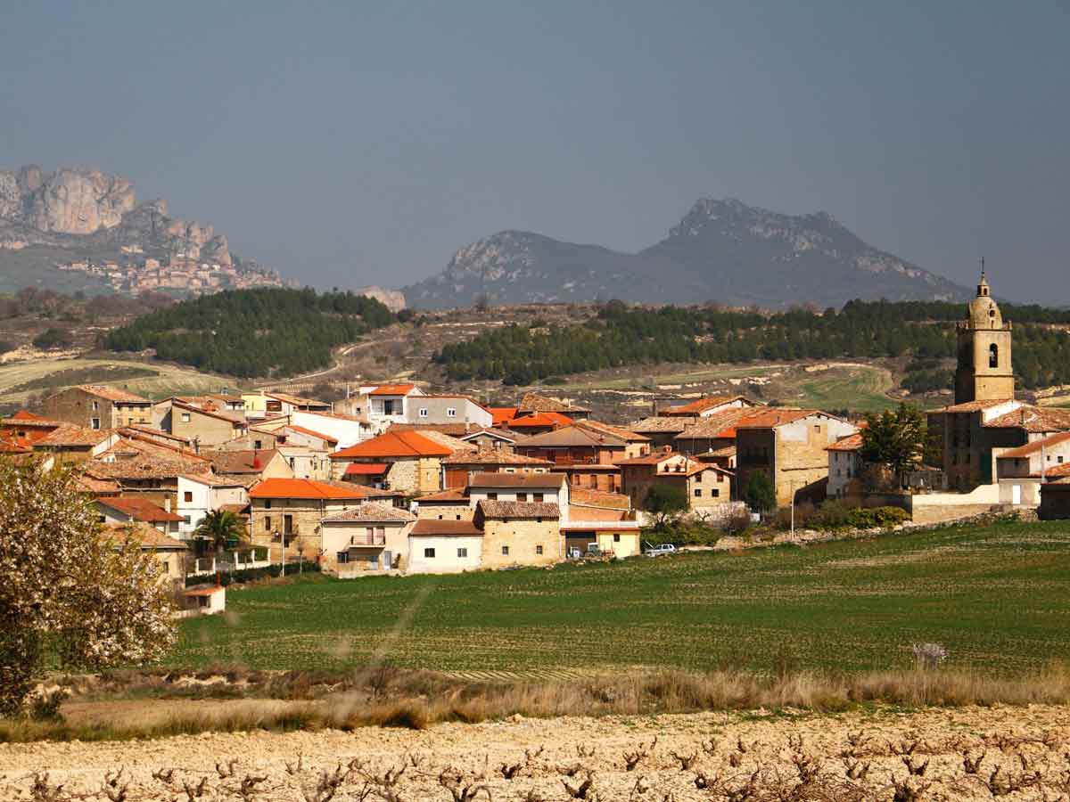 Vista de Fonzaleche con la iglesia de San Martín y la Sierra de Cantabria al fondo