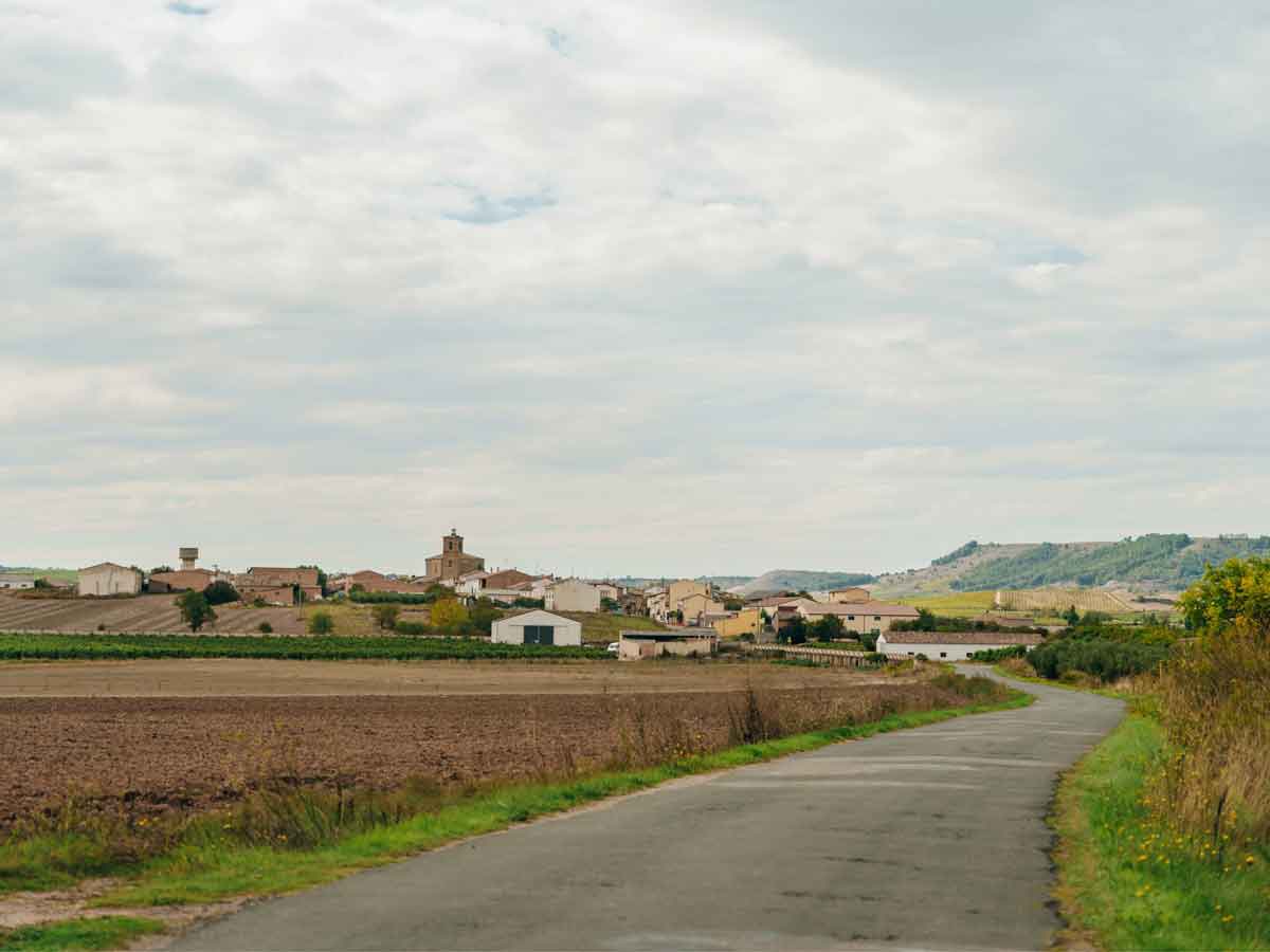 Vista de Hormilla con el casco urbano y campos de cultivo en la Rioja Alta