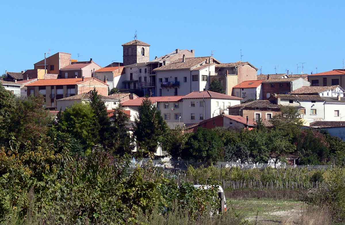 Vista panorámica de Hormilleja, con el casco urbano y la torre de la iglesia entre campos y vegetación.