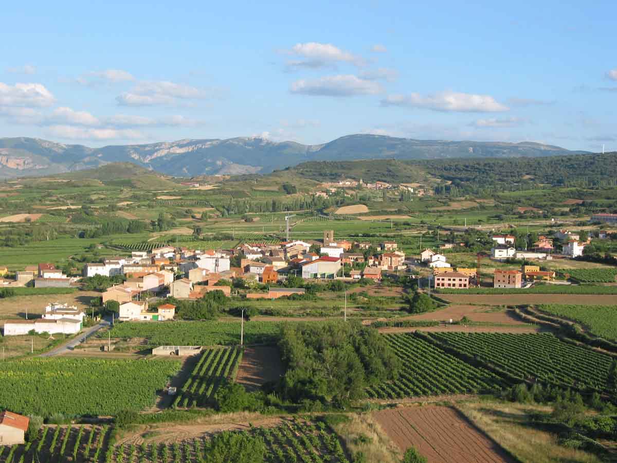 Vista de Medrano rodeado de viñedos con la sierra de Moncalvillo al fondo