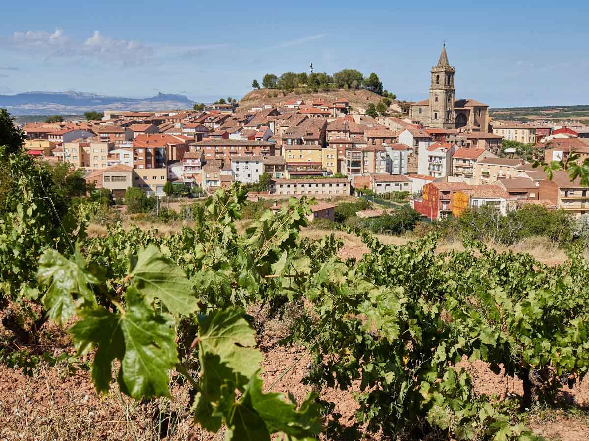 Vista de Navarrete en La Rioja con viñedos verdes en primer plano y el pueblo con su iglesia al fondo bajo un cielo azul.