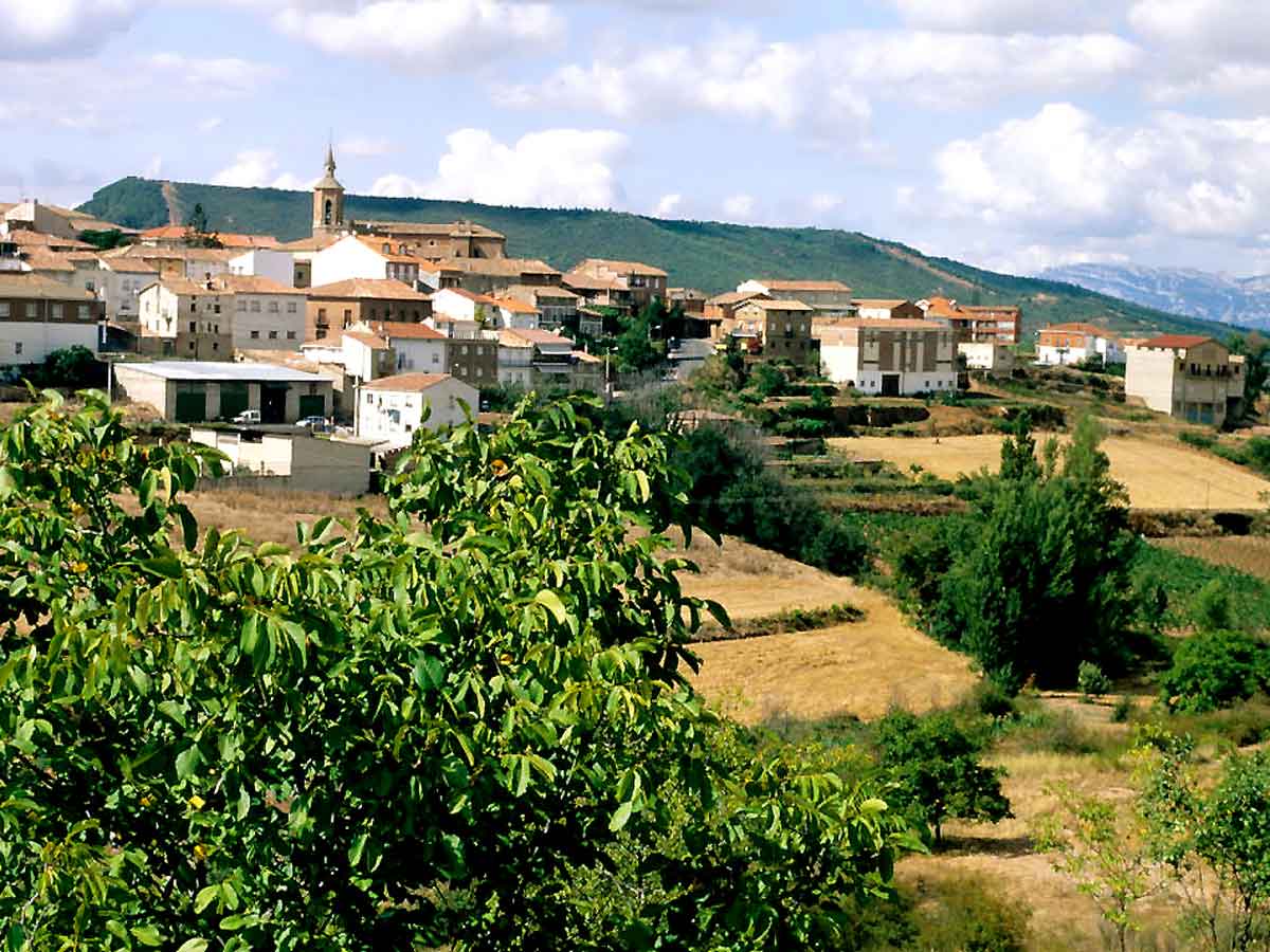 Vista de Sotés con el casco urbano, campos de cultivo y paisaje de Moncalvillo