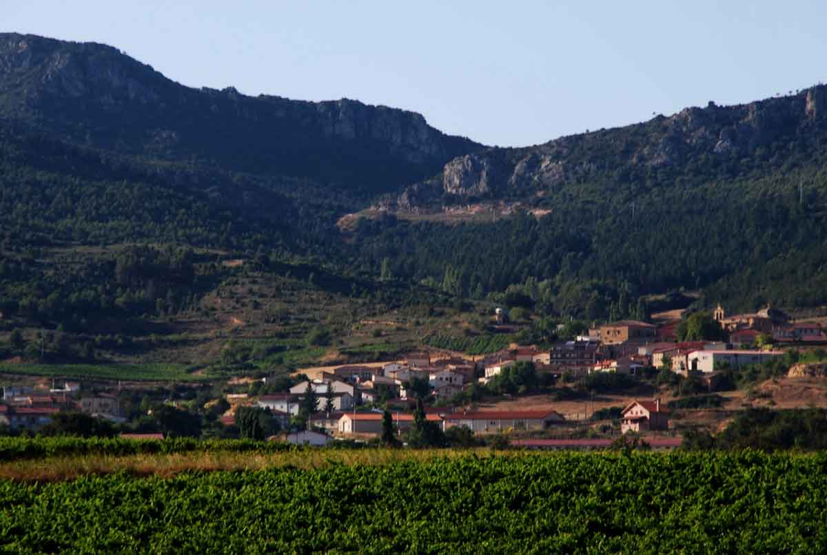 Vista de Villalba de Rioja entre viñedos y los Montes Obarenes